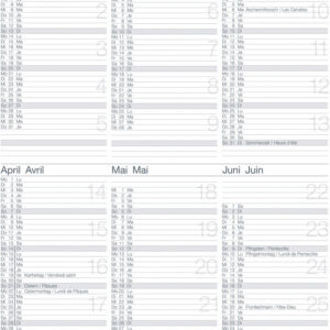 Wandkalender 21x29.7 6M/1S