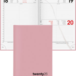 Ag.comm.Colorful 1J/1P rose